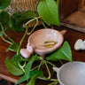 Kenyan Soapstone Hippo Dish 'Marbled Pink'-Bowl-AARVEN