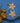 Ocean Collection Starfish Earrings-Earrings-AARVEN