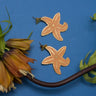 Ocean Collection Starfish Earrings-Earrings-AARVEN