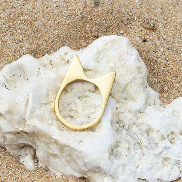 Signature Mamba Polished Brass Ring-Ring-AARVEN