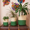Sisal Basket 'Green and Natural' Set of Three-Storage Basket-AARVEN