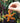 Zimbabwean Beaded Star Fish Decoration 'Orange'-Decoration-AARVEN