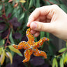 Zimbabwean Beaded Star Fish Decoration 'Orange'-Decoration-AARVEN